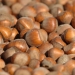 Hazelnuts